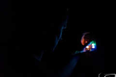 DSC1374