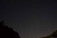 DSC1785-1-scaled